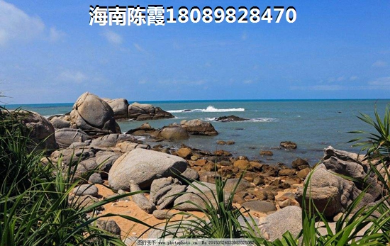 大观区特色小吃有哪些（大观区有什么小区）