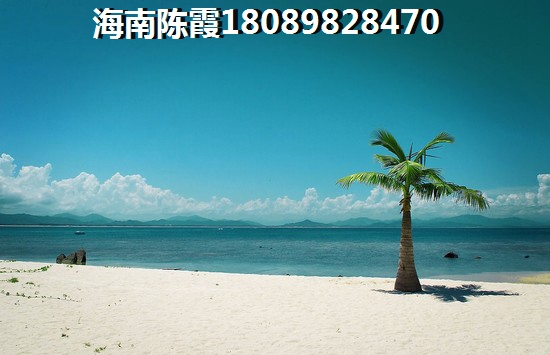 qn的医学意思