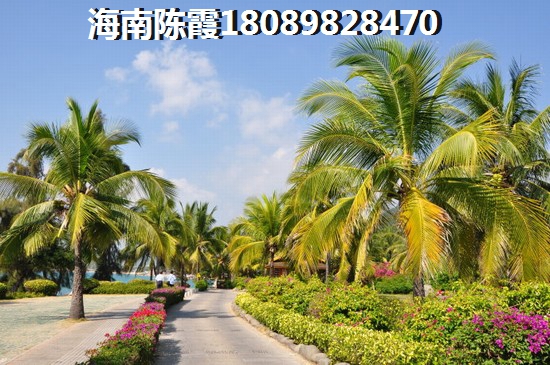 上星剧是什么意思