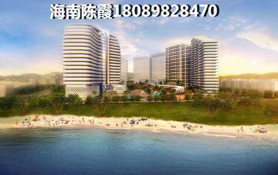 合肥做教育的公司