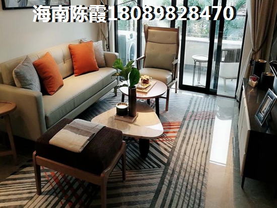 白箭绿箭品牌关系