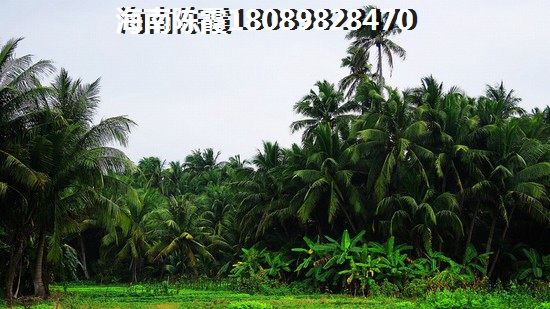 海南二手房60平价格