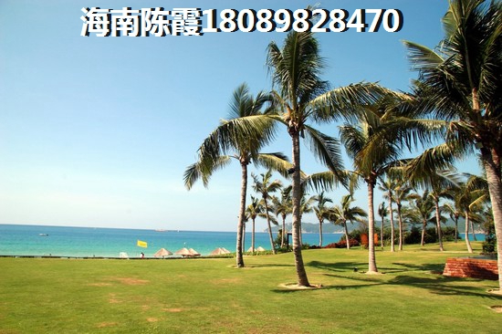 雅居乐中央公园touzi价纸解读 雅居乐中央公园touzi价纸解读